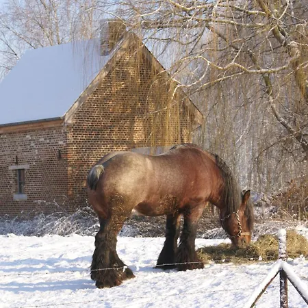 Bed & Breakfast De Metstermolen